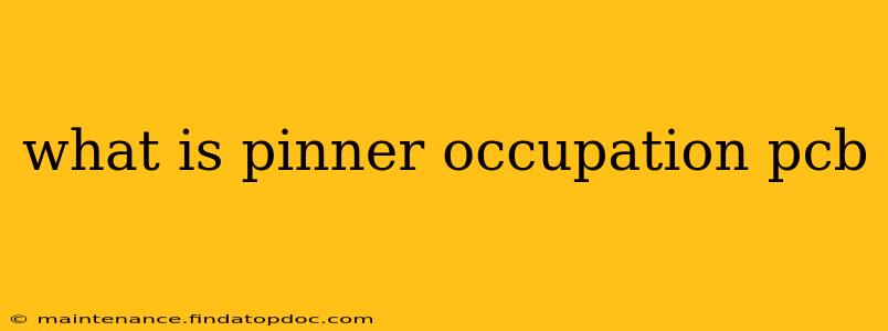 what is pinner occupation pcb