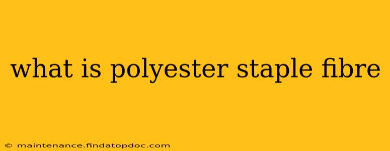 what is polyester staple fibre