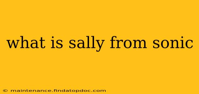 what is sally from sonic
