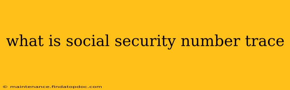 what is social security number trace