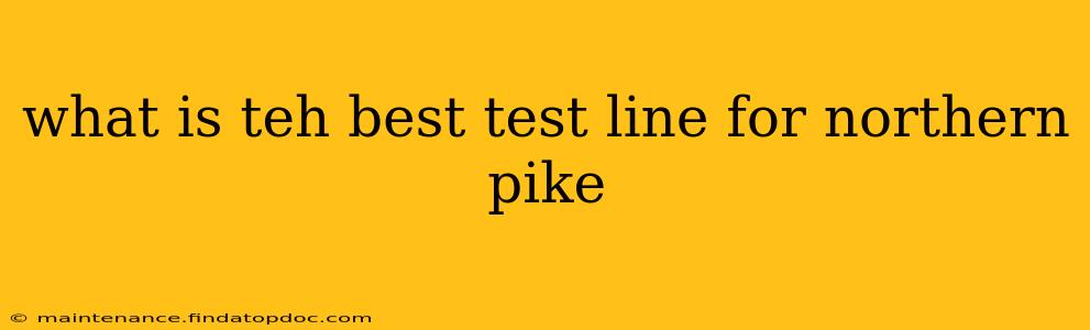 what is teh best test line for northern pike