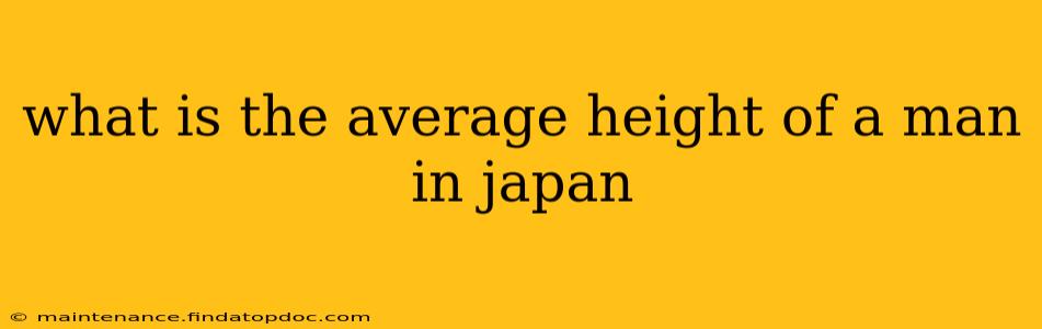 what is the average height of a man in japan