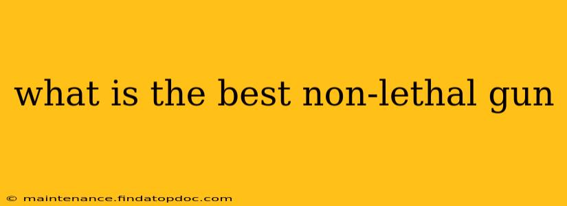 what is the best non-lethal gun