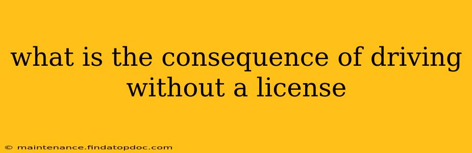 what is the consequence of driving without a license