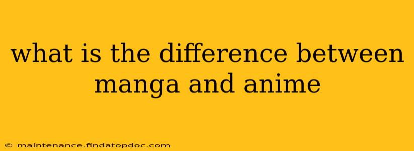 what is the difference between manga and anime