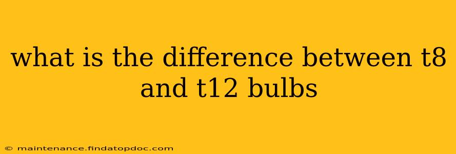 what is the difference between t8 and t12 bulbs