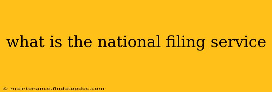 what is the national filing service