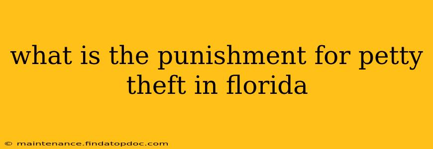 what is the punishment for petty theft in florida