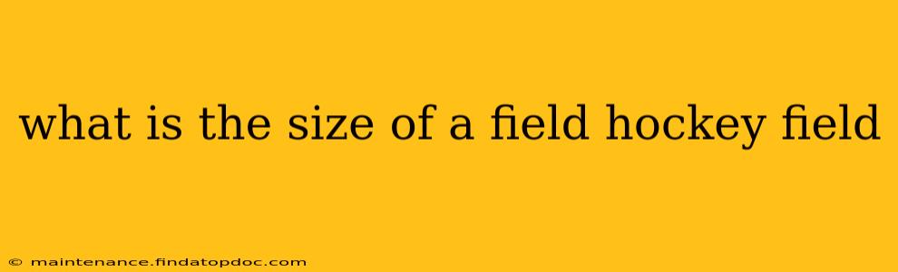 what is the size of a field hockey field