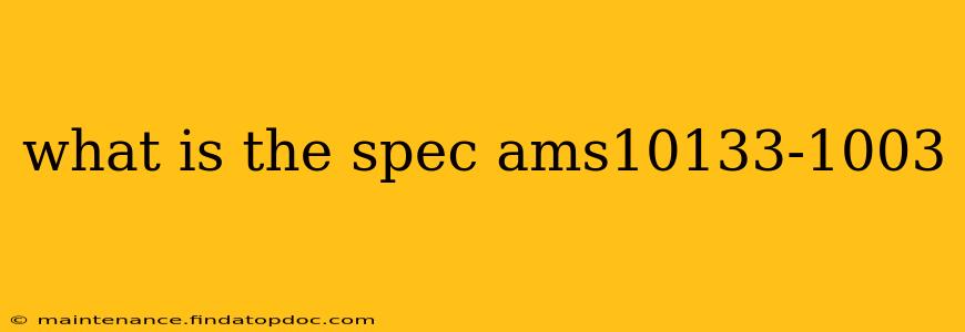 what is the spec ams10133-1003