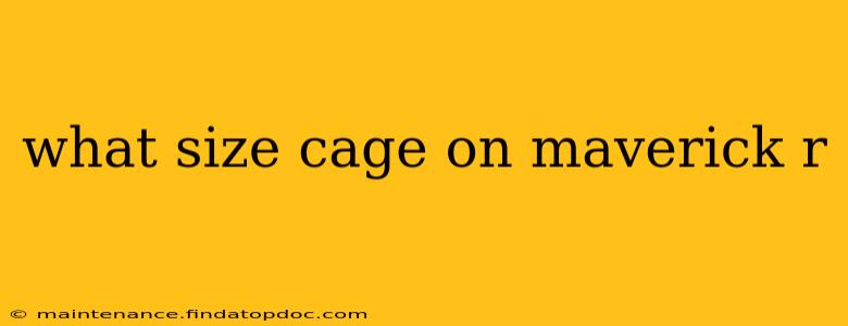 what size cage on maverick r