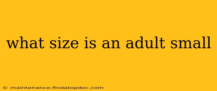 what size is an adult small