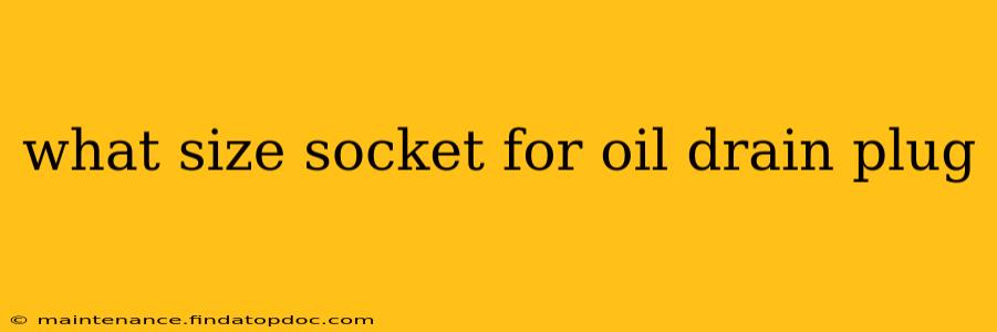 what size socket for oil drain plug
