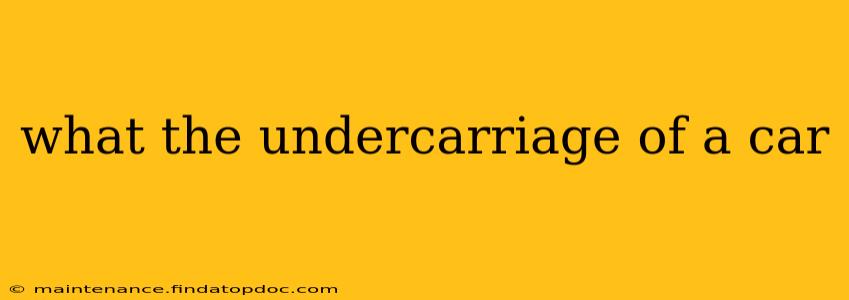 what the undercarriage of a car