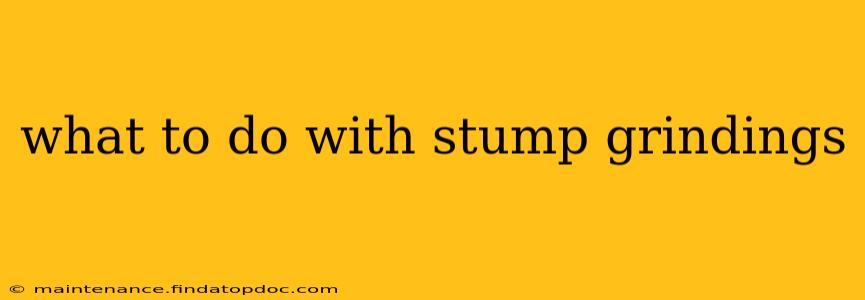 what to do with stump grindings