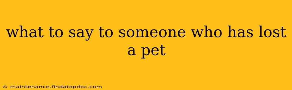 what to say to someone who has lost a pet