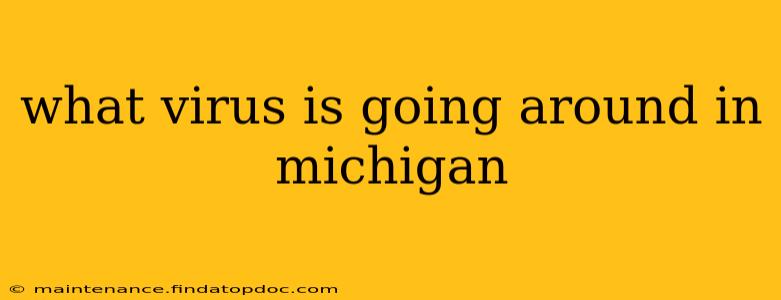 what virus is going around in michigan