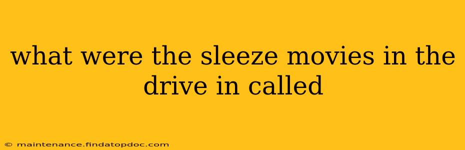 what were the sleeze movies in the drive in called