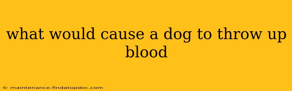 what would cause a dog to throw up blood