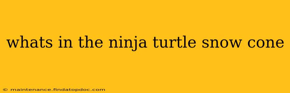 whats in the ninja turtle snow cone