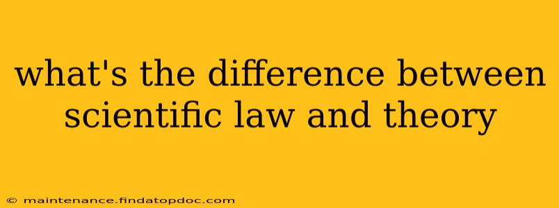 what's the difference between scientific law and theory