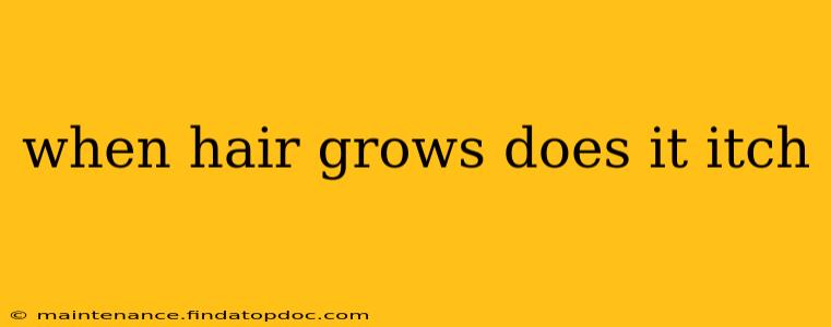 when hair grows does it itch