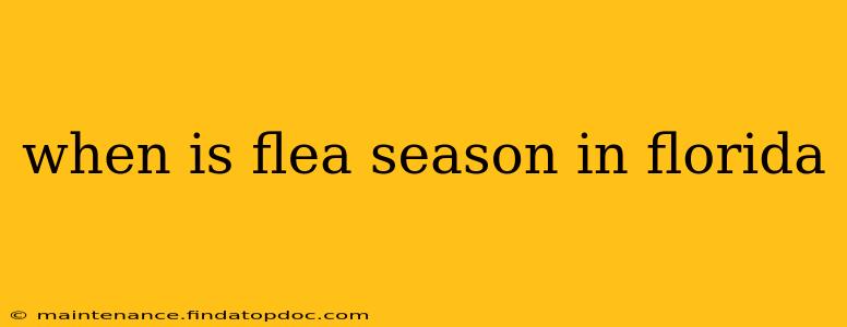 when is flea season in florida