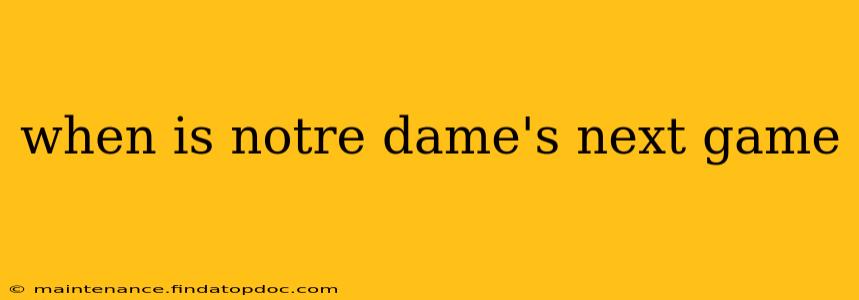 when is notre dame's next game