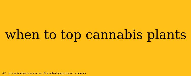 when to top cannabis plants