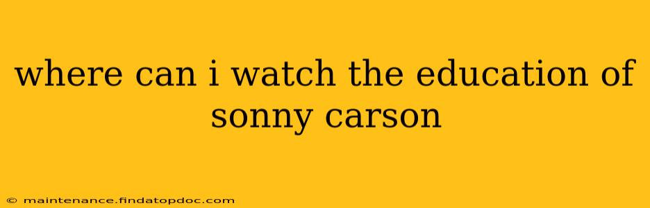 where can i watch the education of sonny carson