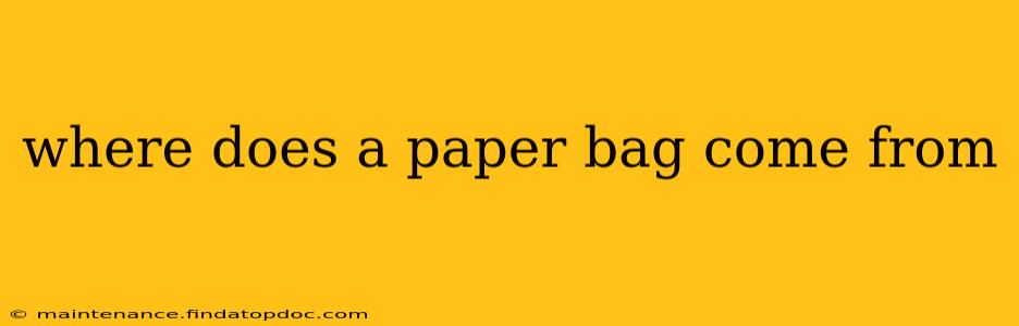 where does a paper bag come from