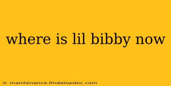 where is lil bibby now