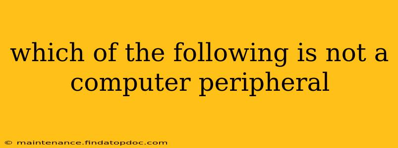 which of the following is not a computer peripheral