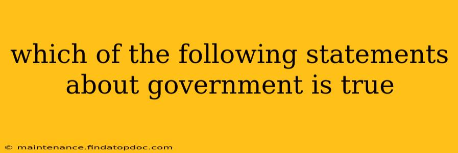 which of the following statements about government is true