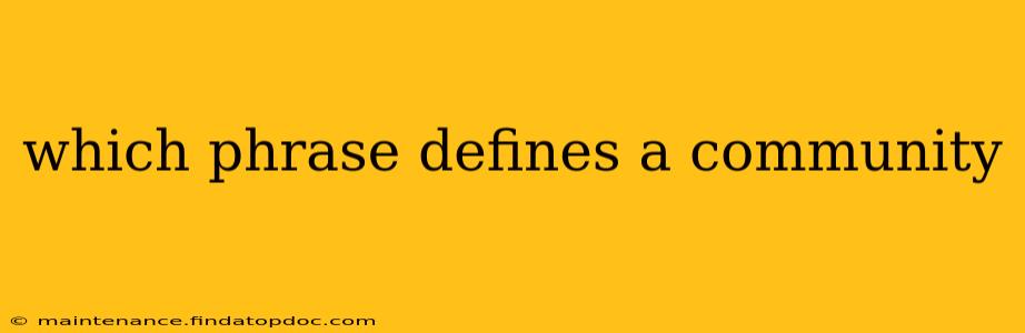 which phrase defines a community