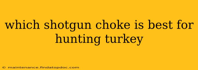 which shotgun choke is best for hunting turkey