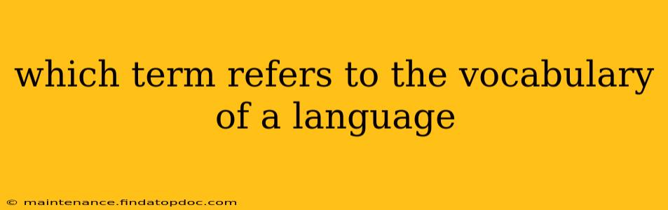 which term refers to the vocabulary of a language