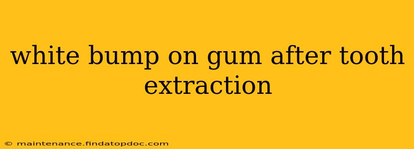 white bump on gum after tooth extraction
