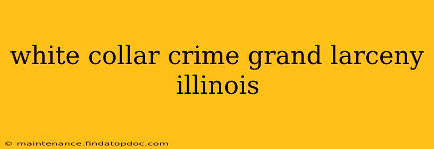 white collar crime grand larceny illinois