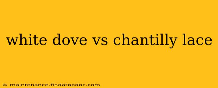 white dove vs chantilly lace