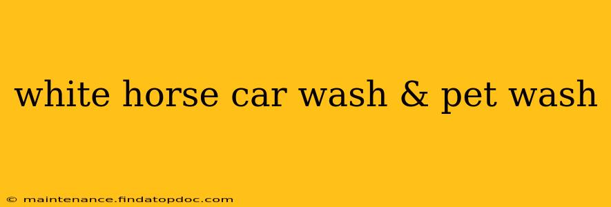 white horse car wash & pet wash