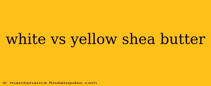 white vs yellow shea butter