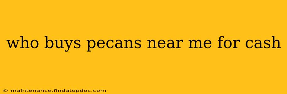 who buys pecans near me for cash