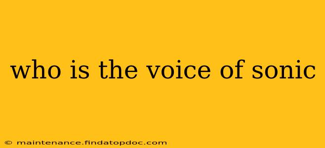 who is the voice of sonic