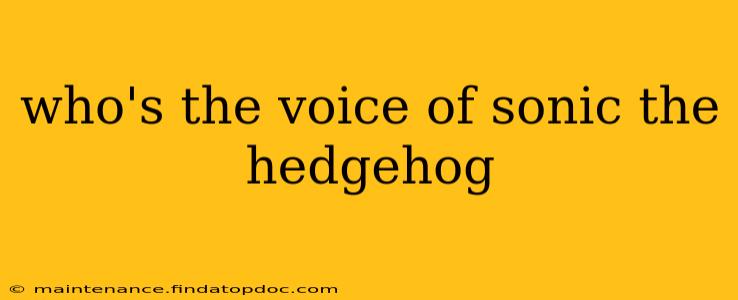 who's the voice of sonic the hedgehog