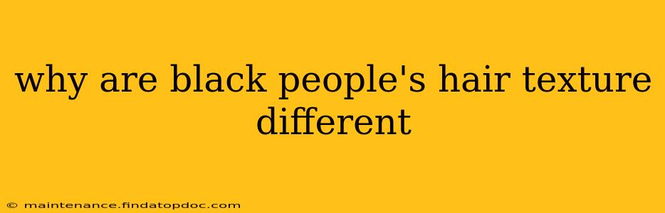why are black people's hair texture different