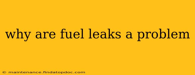 why are fuel leaks a problem