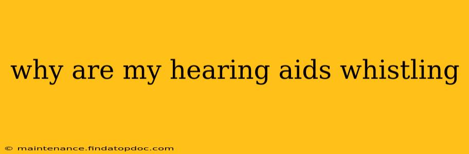 why are my hearing aids whistling