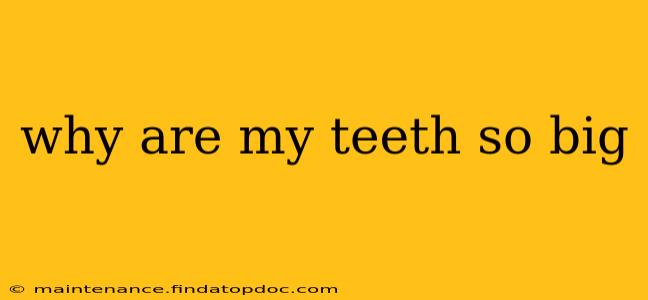 why are my teeth so big