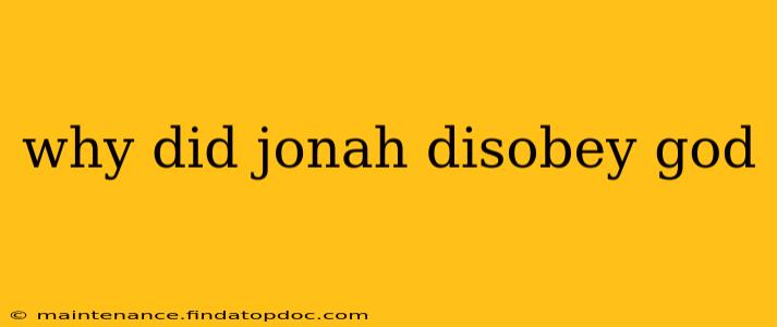 why did jonah disobey god